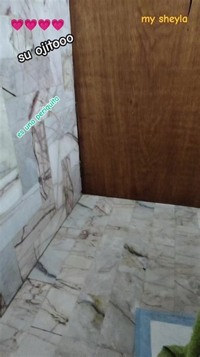 Discovering My Sheyla: The Adorable Periquita