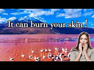 Red Lake in Africa: The Deadly and Stunning Lake Natron