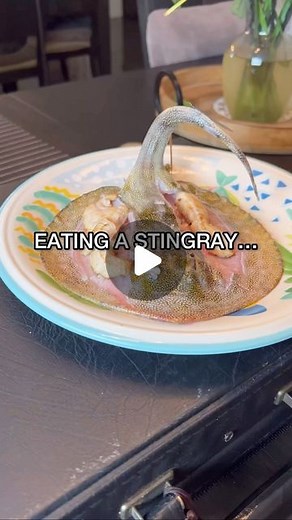 Nicolas Kratka | STINGRAY CATCH AND COOK When I told people I was targeting stingrays the main question I got asked was is it legal? The answer is yes - as... | Instagram