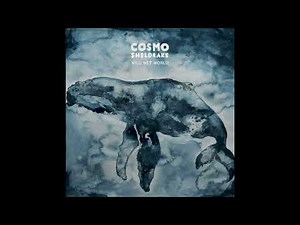 Cosmo Sheldrake - Bodies Of Water