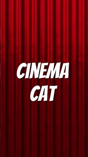 Cinema Cat
