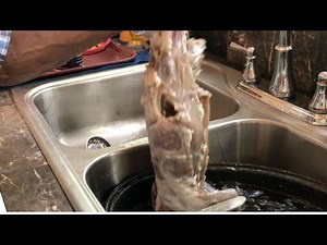Cooking and Eating A Raccoon - Part 1
