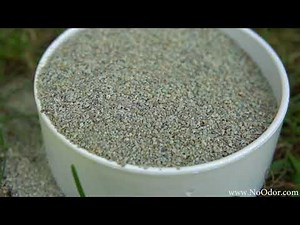 Totally Natural Way to Remove Stinky Chicken Coop Smells Without Using Harmful Chemicals