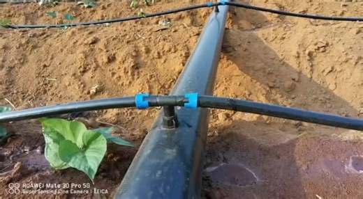 High Quality PE Lay Flat Plastic Hose for Garden Greenhouse and Home Irrigation Easy-to-Use LayFlat Hose