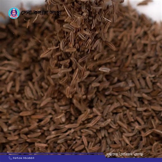 বিশুদ্ধতায় গড়া, স্বাদে অতুলনীয় — সেনা মসলা।” | Sena Kalyan Sangstha