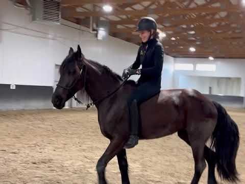 Midnight bareback and bridleless