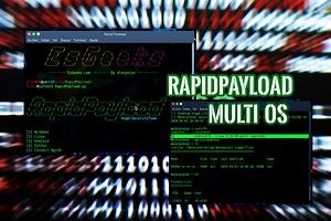 RapidPayload: Generador Metasploit Payload » EsGeeks