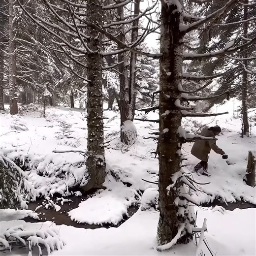 5.1K views · 93 reactions | Storm Winter Camping with Dogs in a Snowstorm, Bad weather, wind, and snow | VMPC Camping | Facebook