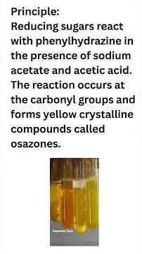 Osazone Test for Sugars 🔬 | Identify Reducing Sugars by Crystal Formation