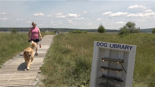 'Dog Library' brings joy to furry beachgoers in Stockton Springs