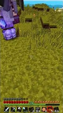 Scarred for Life (Minecraft)