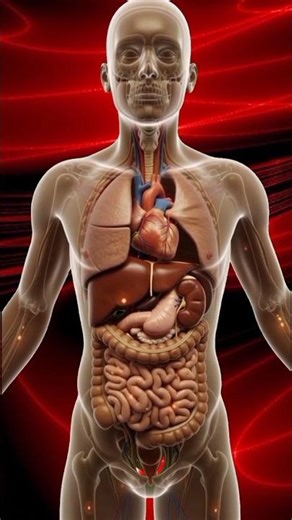 What Happens to Your Body When You Eat Mango? | 3D Animation #science #shorts