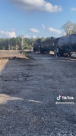 BNSF Train Arrival in Texas Yard