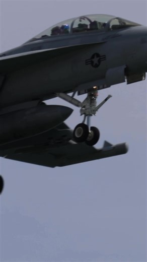 An EA-18G Growler electronic warfare naval jet from VAQ-129 initiates a wave off maneuver during the 2024 OC Airshow, throttling up the full afterburner and retracting the gear and flaps. Nice little afternoon pick me up! 🔥🔥#power #usa #usnavy #electronic #f18 | Ryan Tykosh Photography