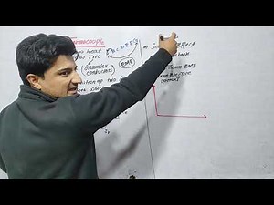 "Thermocouple: Working Principle & Applications Explained"