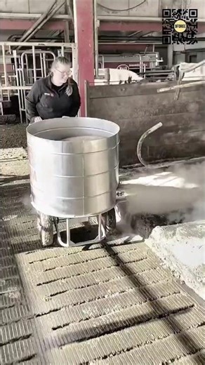 Spreading Lime in Dairy Barns to Keep Cows Healthy #9forge