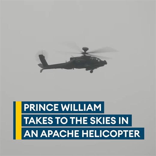Them: What is Prince William's occupation, besides being the Prince of Wales and future King?Us: Search and Rescue Pilot 😎
