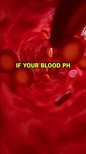 The Bicarbonate Buffer System: The system that discretely keeps your blood pH constant