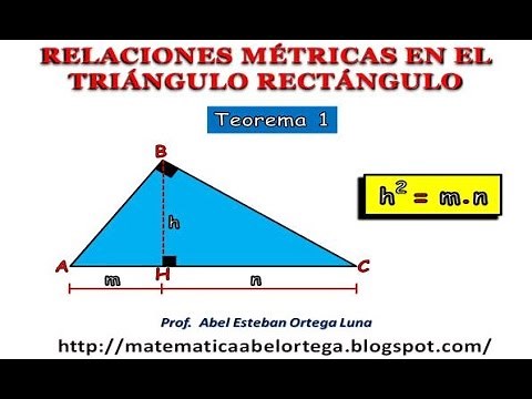 METRIC RELATIONS IN THE RIGHT TRIANGLE: THEOREM 1