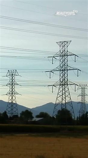 Tesla vs Edison: AC Triumph Over Deadly Propaganda War