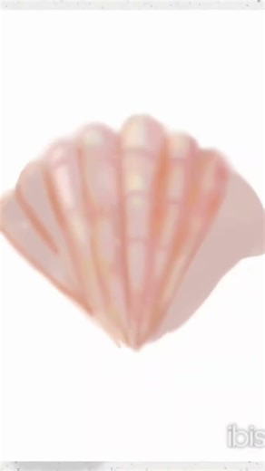 speeddrawing shell 🐚🌊꒰⁠⑅⁠ᵕ⁠༚⁠ᵕ⁠꒱⁠˖⁠♡