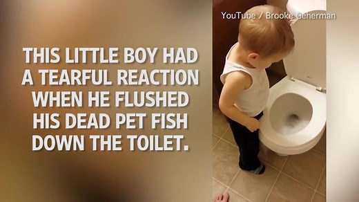 333K views · 744 shares | A boy's tearful reaction after flushing his...