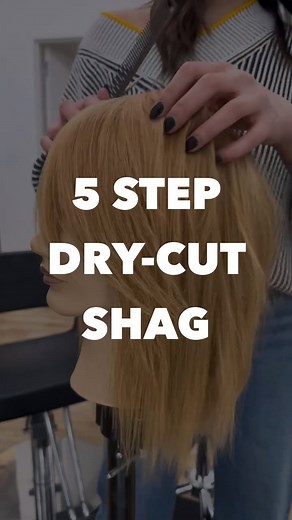 Emily Chen on Instagram: "Easy shag in 5 steps. Boom bam 💥 1️⃣ center guide 2️⃣ over direct both sides to the center like a shark fin 🦈 3️⃣ point cut/slide cut for a soft line 4️⃣ repeat in the back 5️⃣ clean up perimeter. More detailed tutorial going up in subscribers tonight. Shears: 6” @fancyscissors swivels - yes they’re awesome, and yes, you can get them in my link in bio ❤️ use my discount code: EMCHEN Iron: @babylissprousa Prima"
