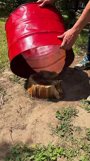 338K views · 68 reactions | AI Tree Stump Hack vs REAL One | AI Know | Facebook