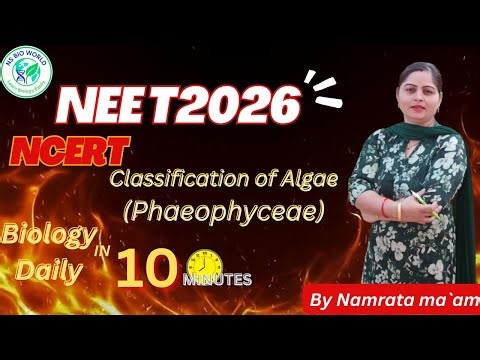 Phaeophyceae ( Brown algae ) | Features structure,reapoduction ,Examples | Class 11 biology | NEET