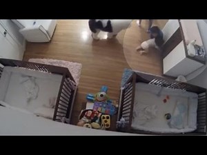 9-year-old saves baby brother from fall