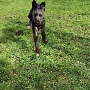 3 comments | Ready to leap into a new challenge? Sign up NOW for Run for Rescue in May!  Simply complete 26.2miles in a month and bag our brand new medal!  Visit our website or on site: www.oaktreeanimals.org.uk/events/run-for-rescue Cumbria Guide Carlisle Living Magazine Spotted: Carlisle | Oak Tree Animals' Charity | Facebook