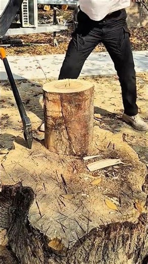 Techniques for Splitting Logs Using a Large Axe with Precision Force #shorts