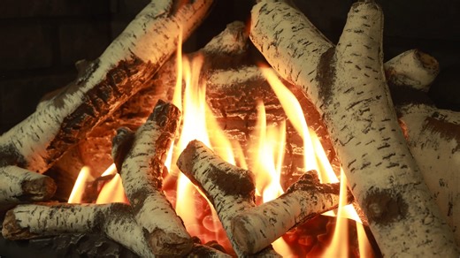 Birch Logs & Grey Brick Liner - Valor H5 Gas Fireplace