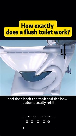 How exactly does a flush toilet work #shortsvideo