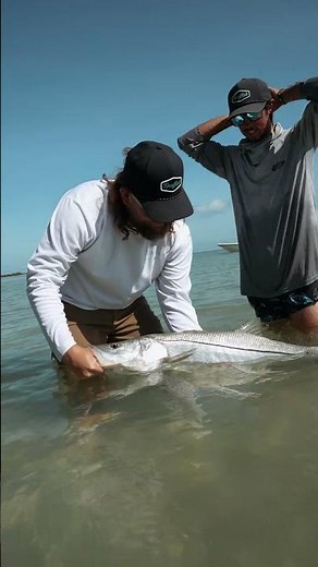 Want to catch Snook like these?! Pick up a Carbon Elite II Combo from Toadfish #toadfish