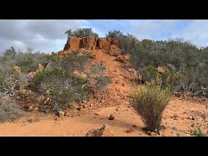 Relaxing Desert Wind Sounds - Desert Wash Ambiance - Calming Desert Sounds & Desert Ambiance