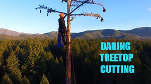 Mastering Tree Work with a Heavy-Duty Crane