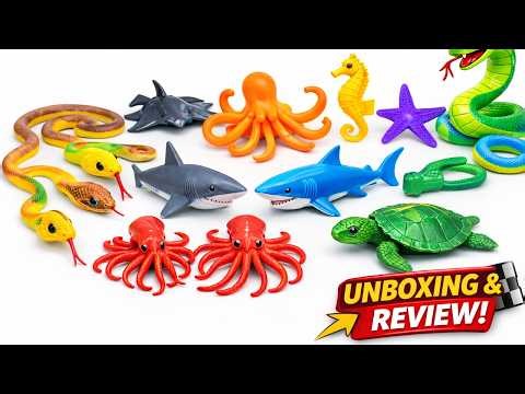 Ocean Creatures Toy ASMR Unboxing Review SHARKS and TURTLES!