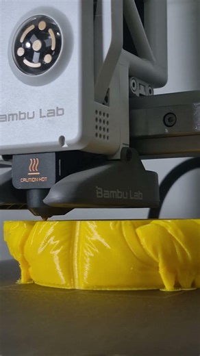 Day 14 | Lithophane Banaya + USA Se Import Kal Aayega + 14 Din Ka Safar | #3dprinting #growthmindset