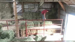 7.1K views · 369 reactions | There is no better feeling than...