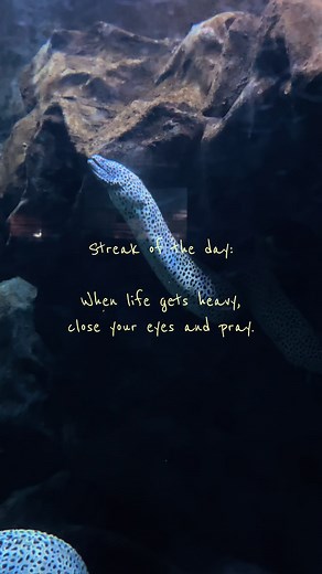 Streak of the Day: When Life Gets Heavy, Close Your Eyes and Pray
