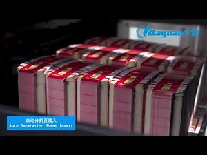 BHT-1060SCE Automatic Die Cutting And Creasing Machine With Stripping & Blanking - Technical Demo