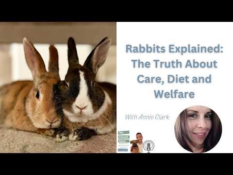 Rabbits Explained: The Truth About Care, Diet and Welfare
