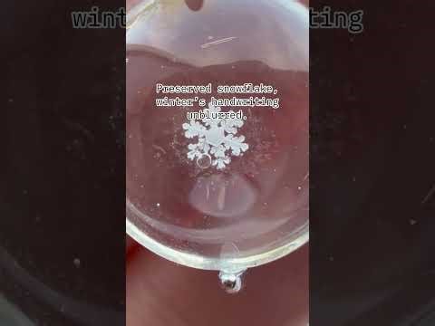 How Fast Snowflakes Fall ❄️