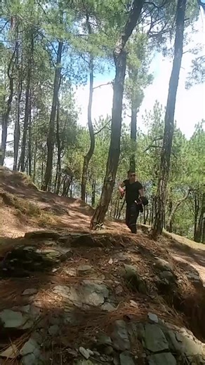 #creatorsearchinsights