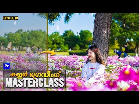 HSL Secondary | Color Grading Masterclass | Ep 10