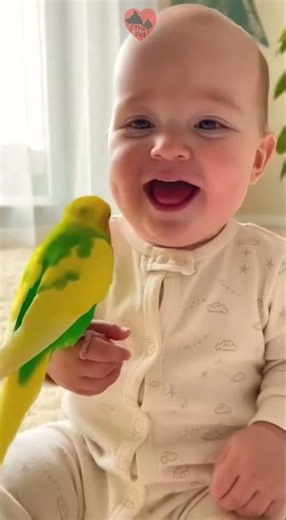 Why this baby's laugh is the most viral thing you'll see today #familypets #baby #adorableanimals