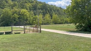 Brandenburg Stables, LLC on Reels