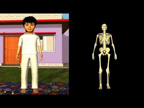 Science -- How different joints work in Human? 3D animation - English