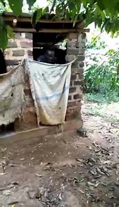 16K views · 270 reactions | Back in the 80s 藍藍 | Southern Classic Media | Facebook